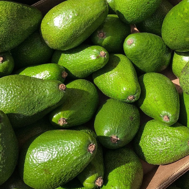 Фото №8 - Як виростити авокадо у себе вдома: практичні поради