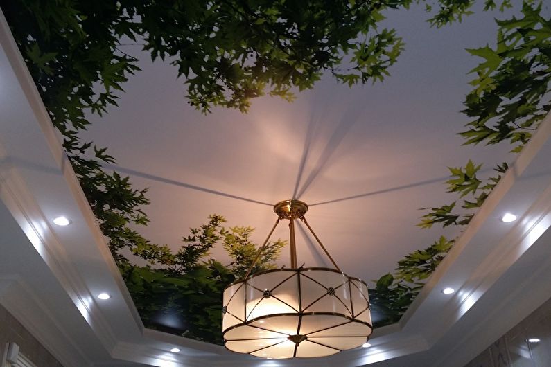 Натяжна стеля з фотодруком у передпокої - фото