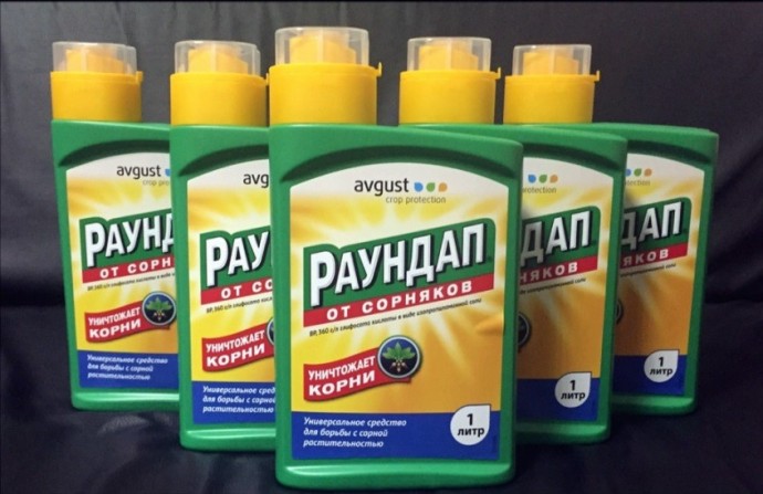 Як позбутися моху на садовій ділянці народними засобами та за допомогою хімії.