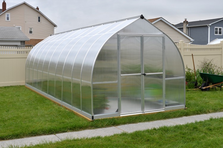 Теплиця з мохом