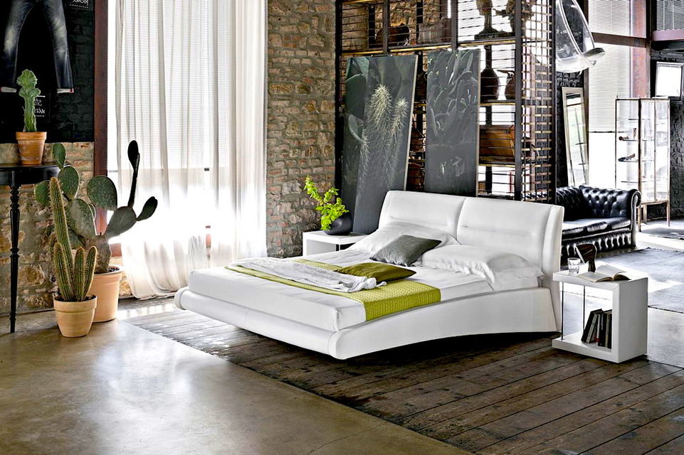 Живі рослини в кімнаті - це безпрограшний варіант для прикраси та декорування