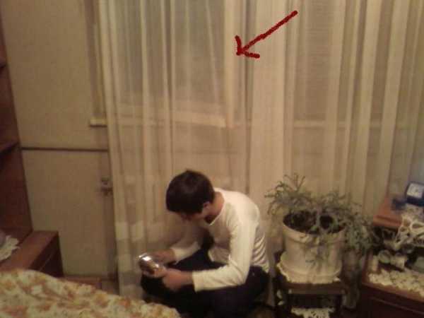 Фото домового на тлі фіранок будинковий фото справжній